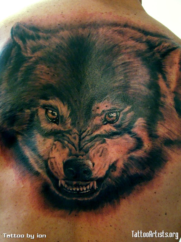 Angry Wolf with tears tattoo on back by Ion Rosgrim