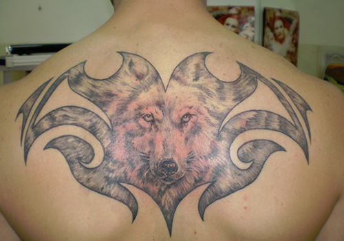 Awesome Tribal Wolf's Face Tattoo On Back