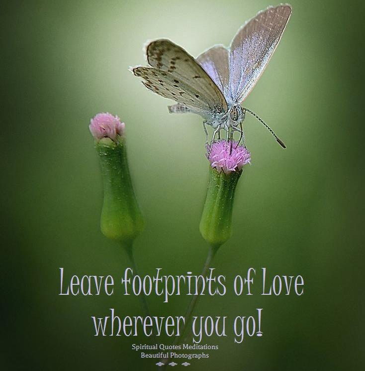 Leave footprints of love wherever you go - Love Quote (7)
