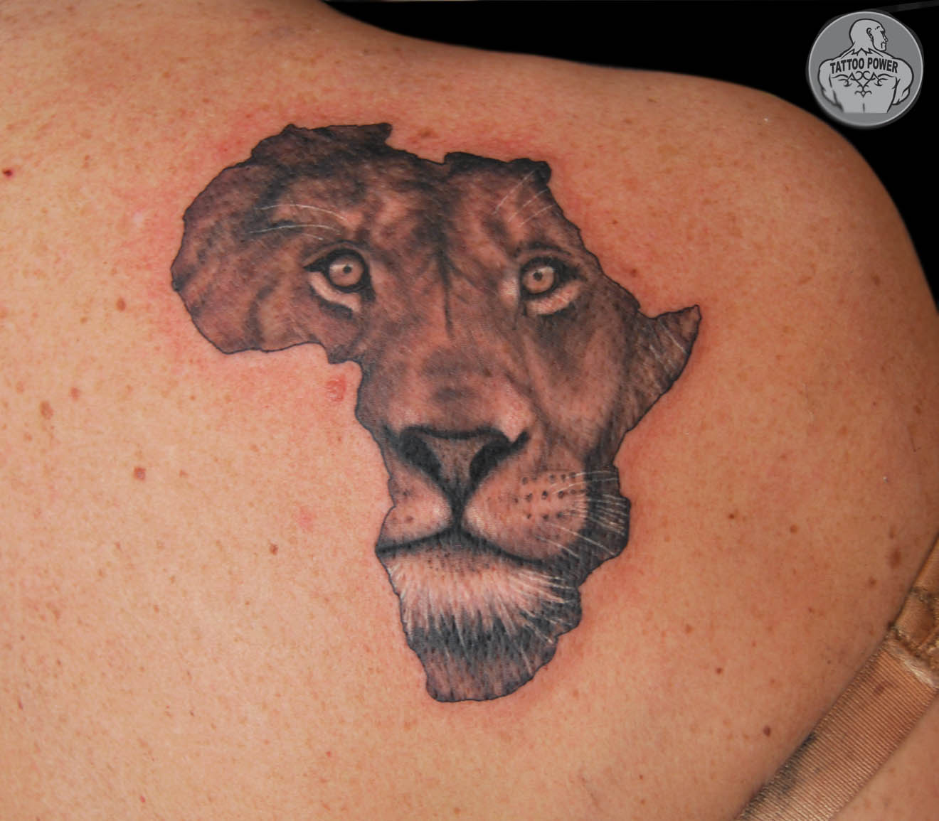 Lion inside the Africa map tattoo on shoulder back