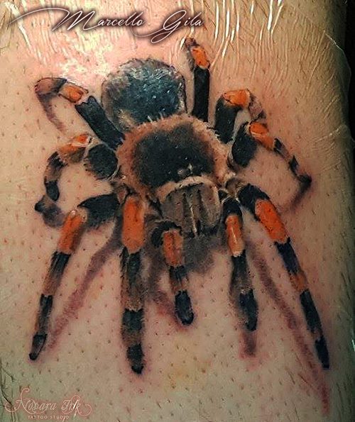 Mexican redknee tarantula tattoo by Marcello Gila