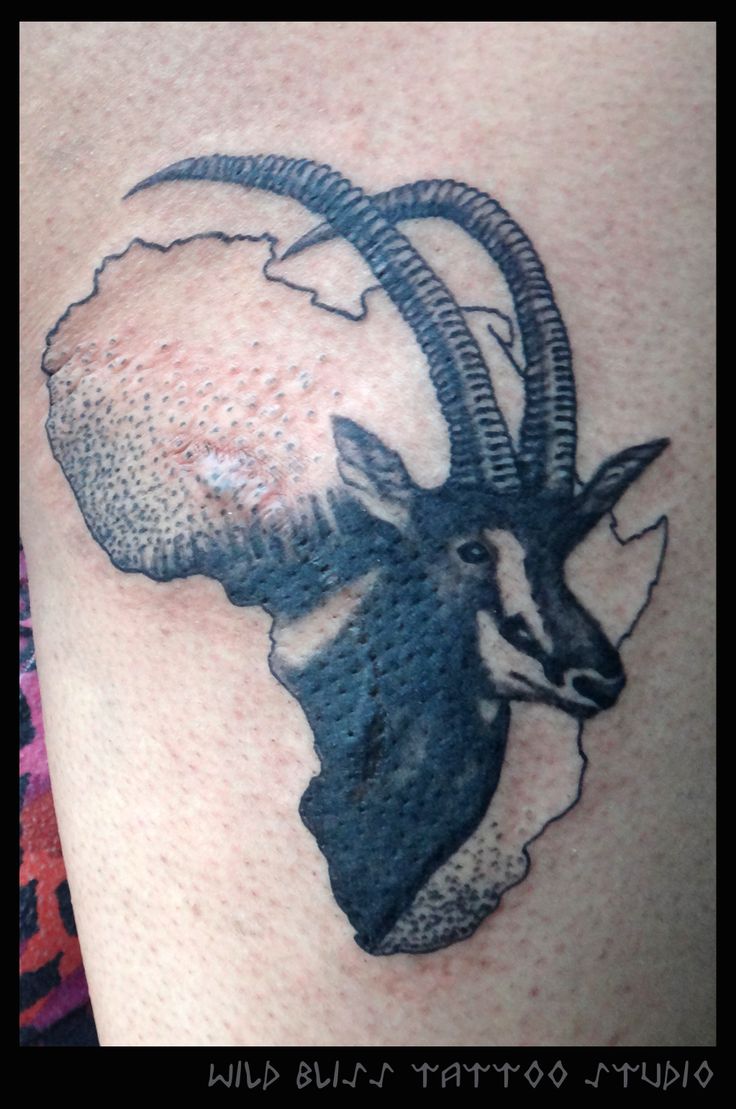 Palanca Negra Gigante in African Map Tattoo by Wild bliss tattoo studio