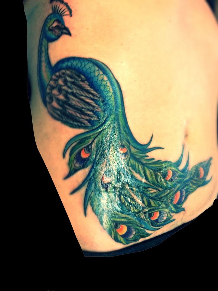 Peacock Stomach Tattoo