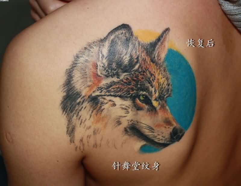 Realistic wolf with full moon tattoo on back