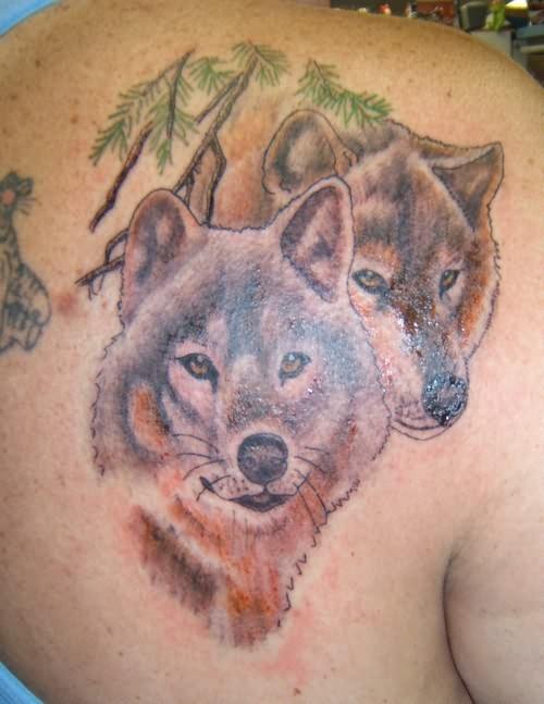 Wolves Couple With Trees Branches Tattoo On Back