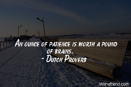 An ounce of patience is worth a pound of brains 2