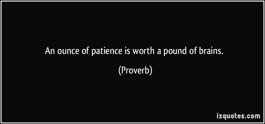 An ounce of patience is worth a pound of brains 3