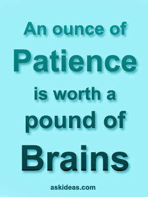 An ounce of patience is worth a pound of brains.