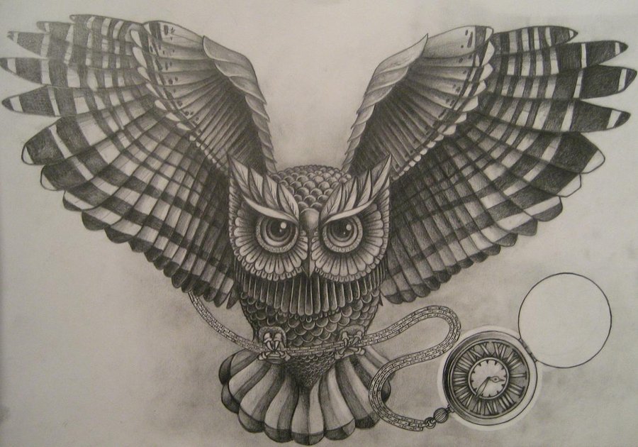 Awesome Owl Design By A-P-T