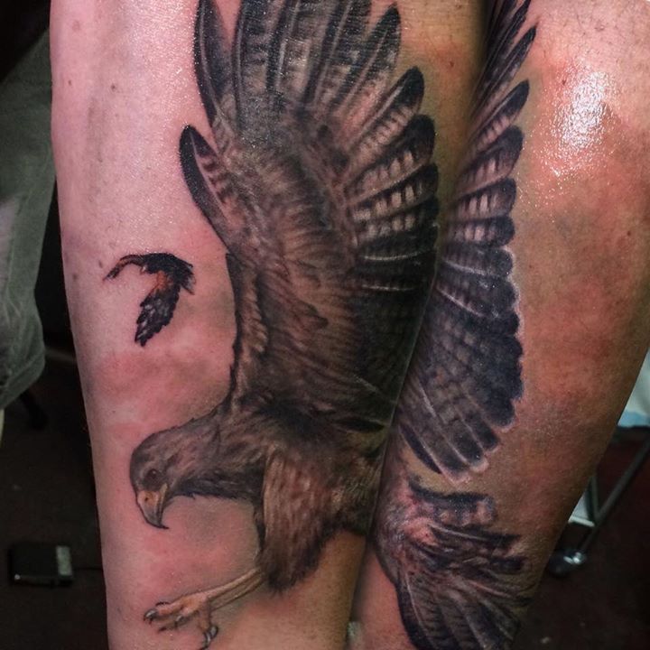 Hawk tattoo by Samm Lacey