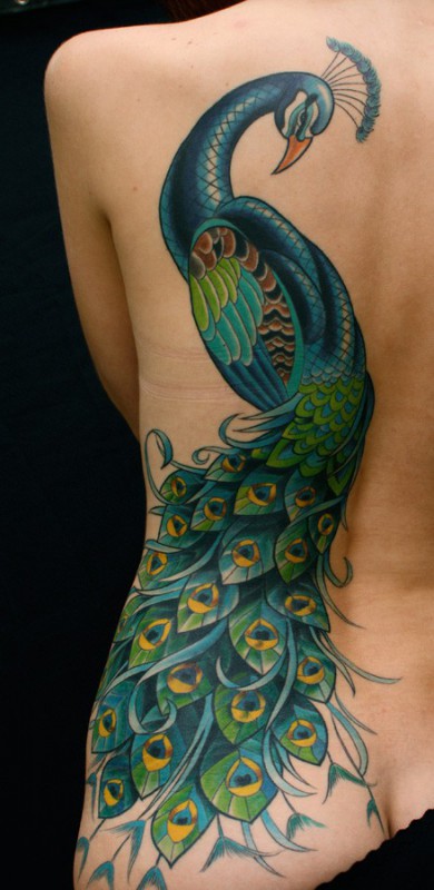 Lovely peacock tattoo on girl’s left back by Mark Heggie