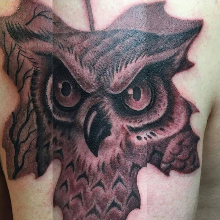 Owl in Canadian Flag’s Maple Leaf tattoo