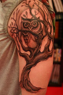 Owl sitting on tree tattoo on half sleeve