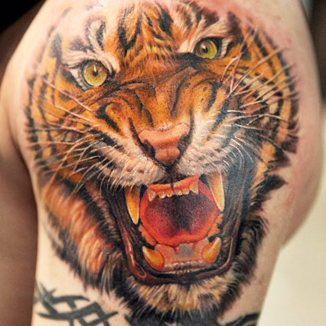 Realistic Roaring Tiger Tattoo on Shoulder