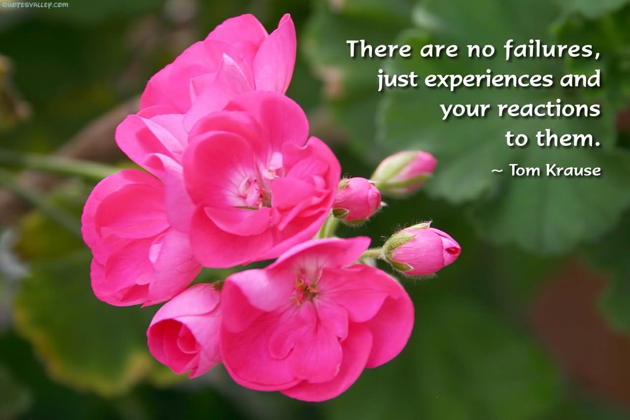 There are no failures. Just experiences and your reactions to them (7)