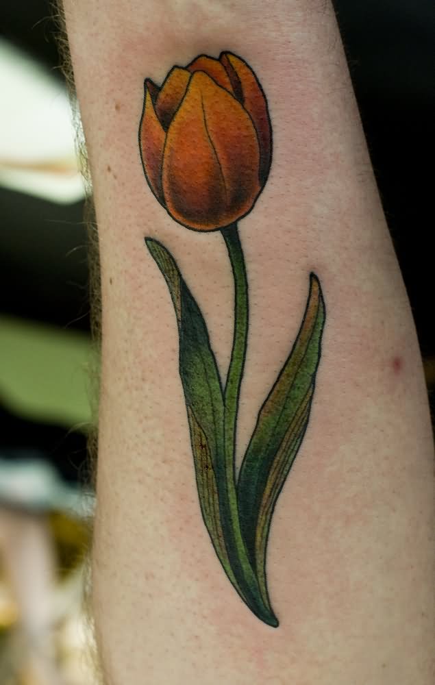 Yellow Tulip tattoo on forearm by Silje