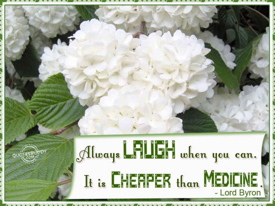 always laugh when you can it is cheap medicine (7)