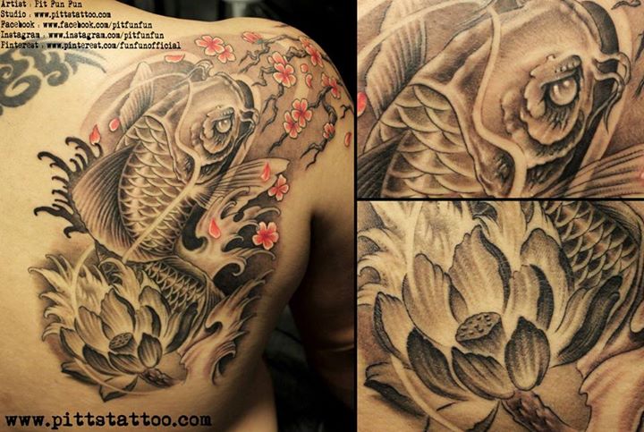Black and grey Koi fish tattoo on back shoulder