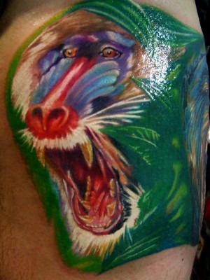 Color Baboon Tattoo Closeup Image