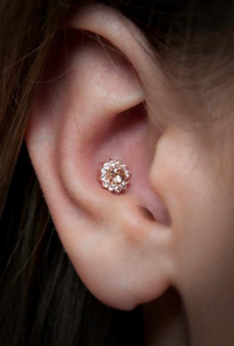 Conch Ear Piercing Picture