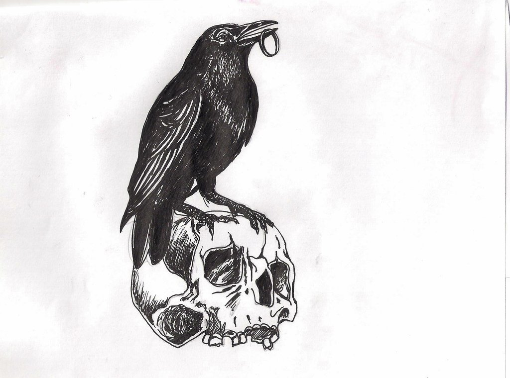 Crow sit on skull tattoo design by adler666