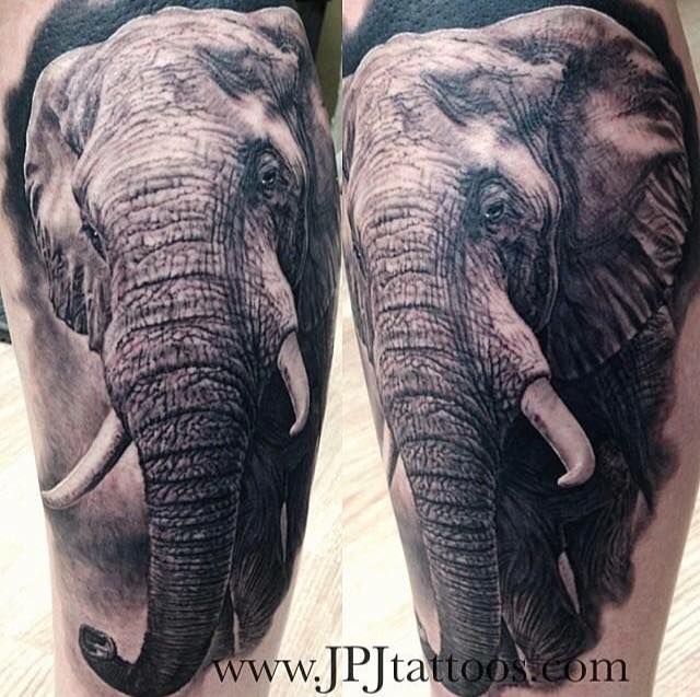 Elephant Tattoo Design by Jose Perez