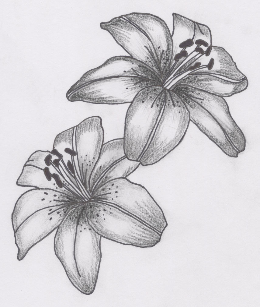 Grey And White Lily Tattoo Design