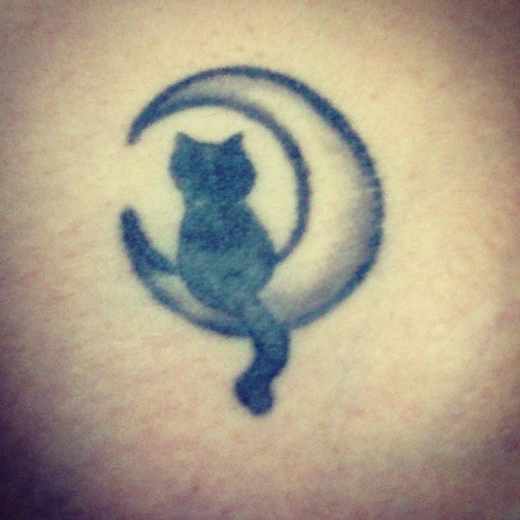Grey Cat Moon Tattoo Picture