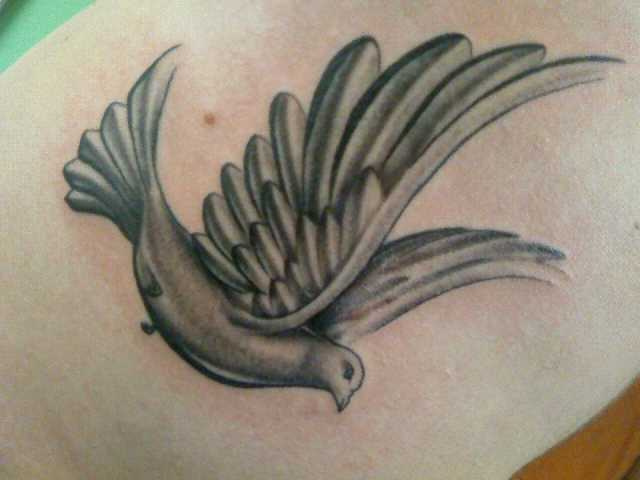 Grey Dove Tattoo Idea For Girls