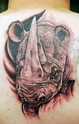 Grey Ink Rhino Tattoo On Back Body