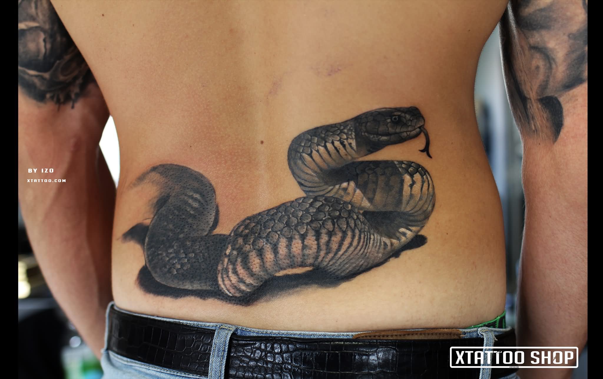 Grey Ink Snake Tattoo On Lower Back