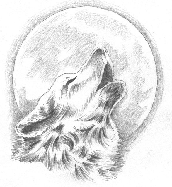 Incredible Howling Wolf and moon tattoo sketch