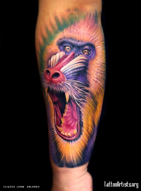 Mandrill Portrait Tattoo on Arm by Juan Salgado