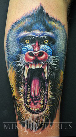 Mandrill Tattoo on leg by Mike DeVries