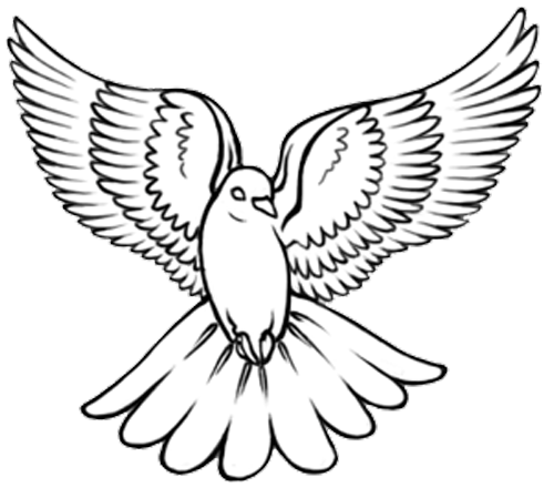 Open Wings Dove Bird Tattoo Design