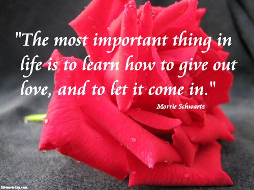 The most important thing in life is to learn how to give out love, and to let it come in 3