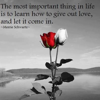 The most important thing in life is to learn how to give out love, and to let it come in 5