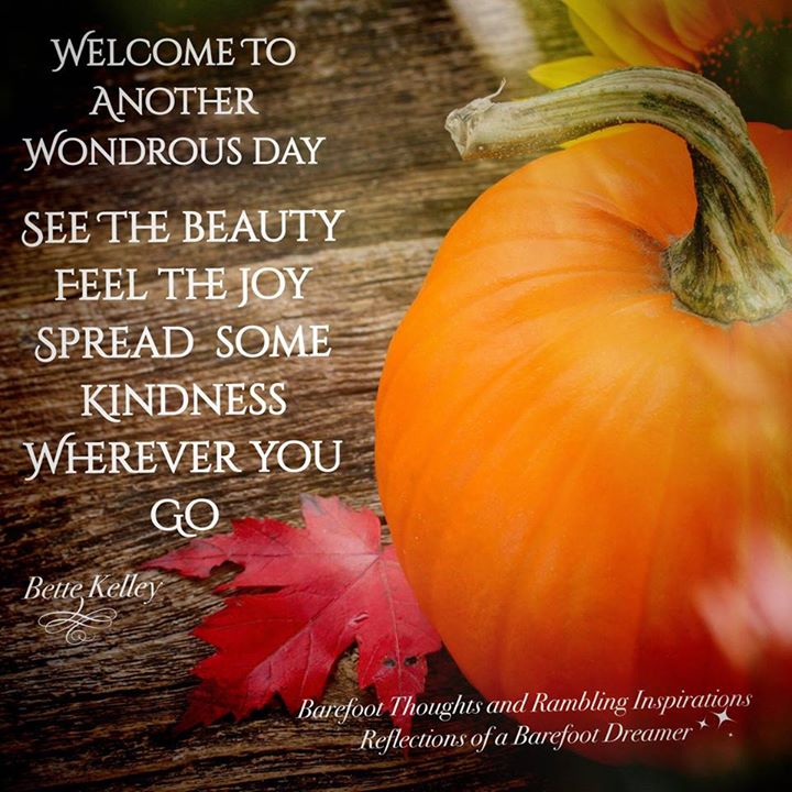 Welcome to another wondrous day, see the beauty, feel the joy, spread some kindness wherever you go
