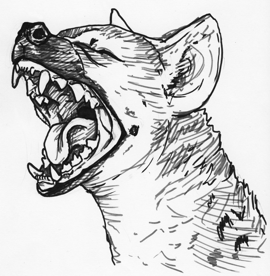 Yawning Hyena tattoo stencil by silvercrossfox