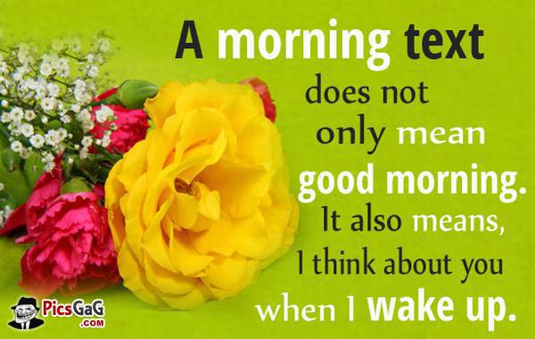 A Morning Text Does Not Only Mean Good Morning. It Also Means I Think About You When I Wake Up
