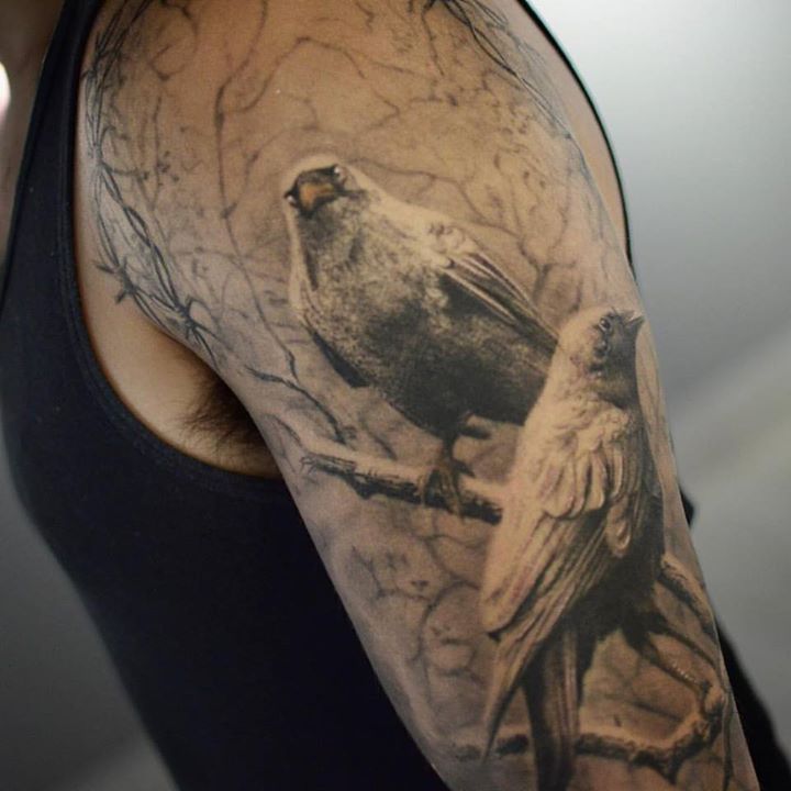 Barbed Wire and sitting birds tattoo on arm 1