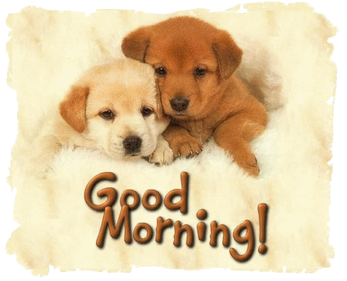 Cute Puppies Wishing You Good Morning
