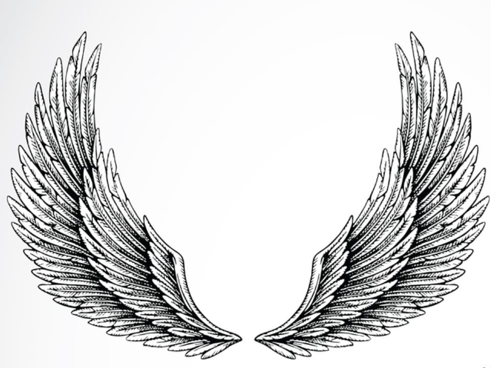 Wings Tattoo Design Idea