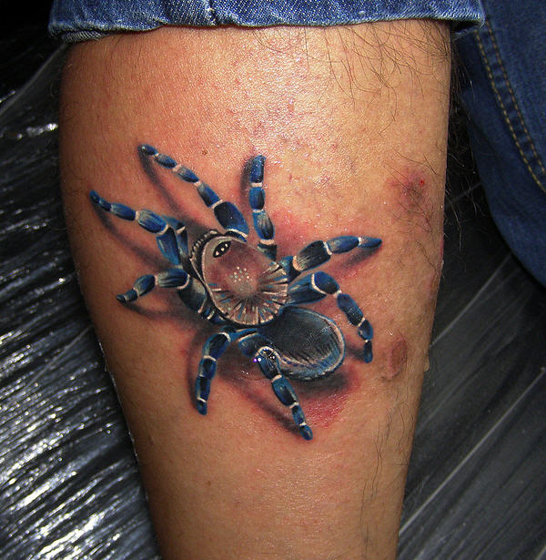 3D Spider Tattoo On Forearm