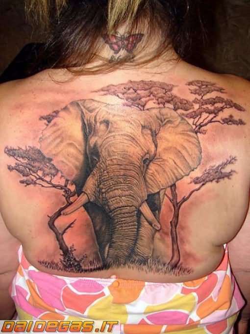 African Colorful Elephant Tattoo On Girl Back