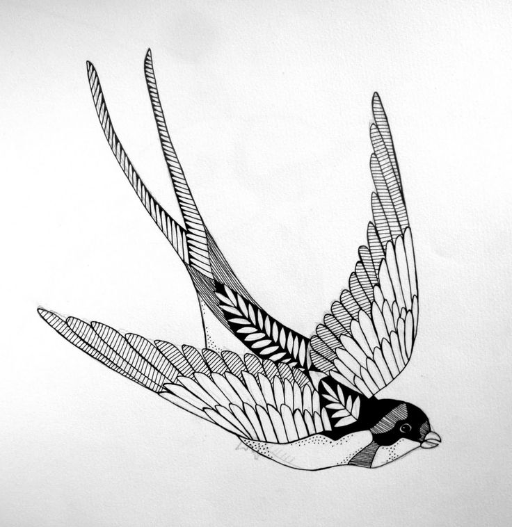 Amazing Black Swallow Tattoo Stencil By Aislingh