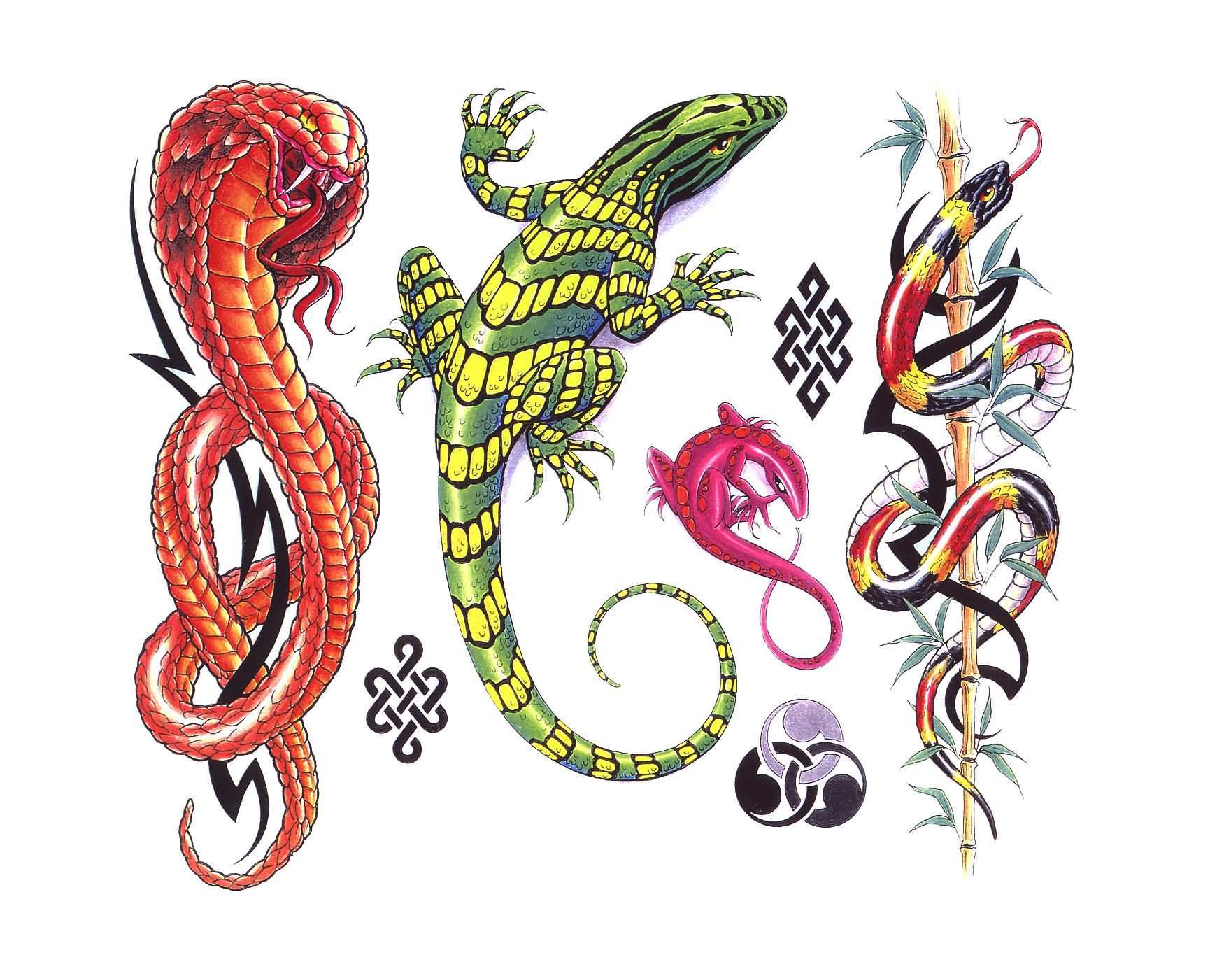 Amazing colorful Snake and Lizard Tattoo Designs