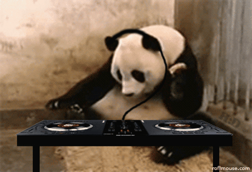 Panda Playing Dj Funny Animal Gif