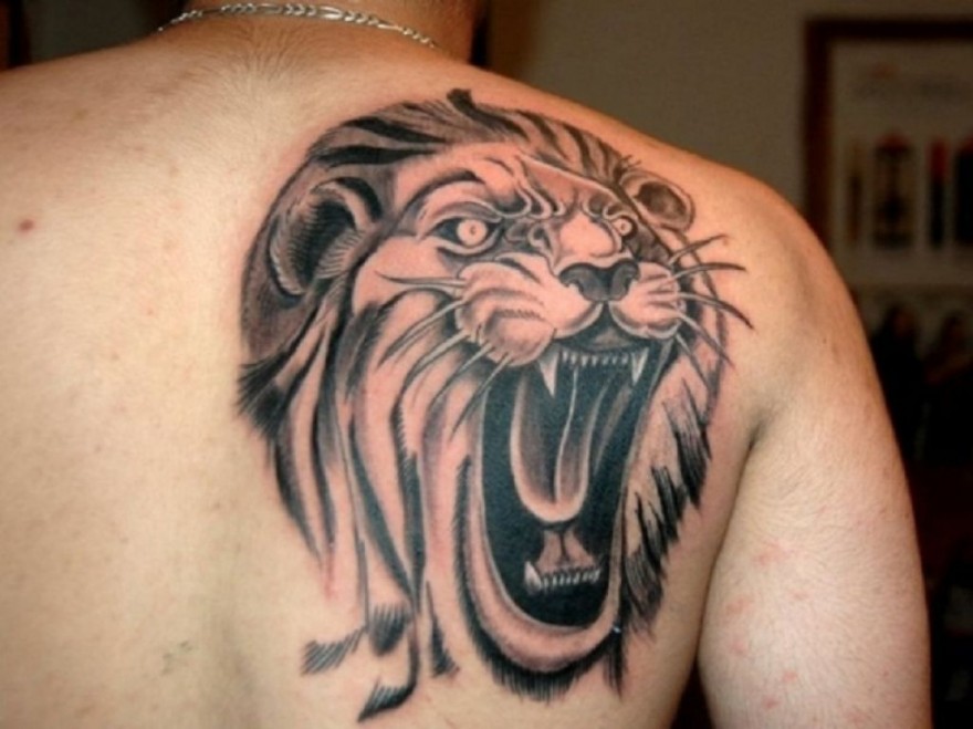 Black And Grey 3D Roaring Lion Tattoo On Man Right Back Shoulder