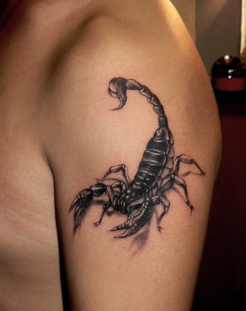 Black And Grey Scorpio Tattoo On Left Half Sleeve